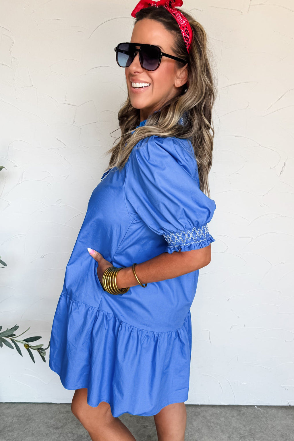 Embroidered Smocked V-Neck Puff Sleeve Mini Dress