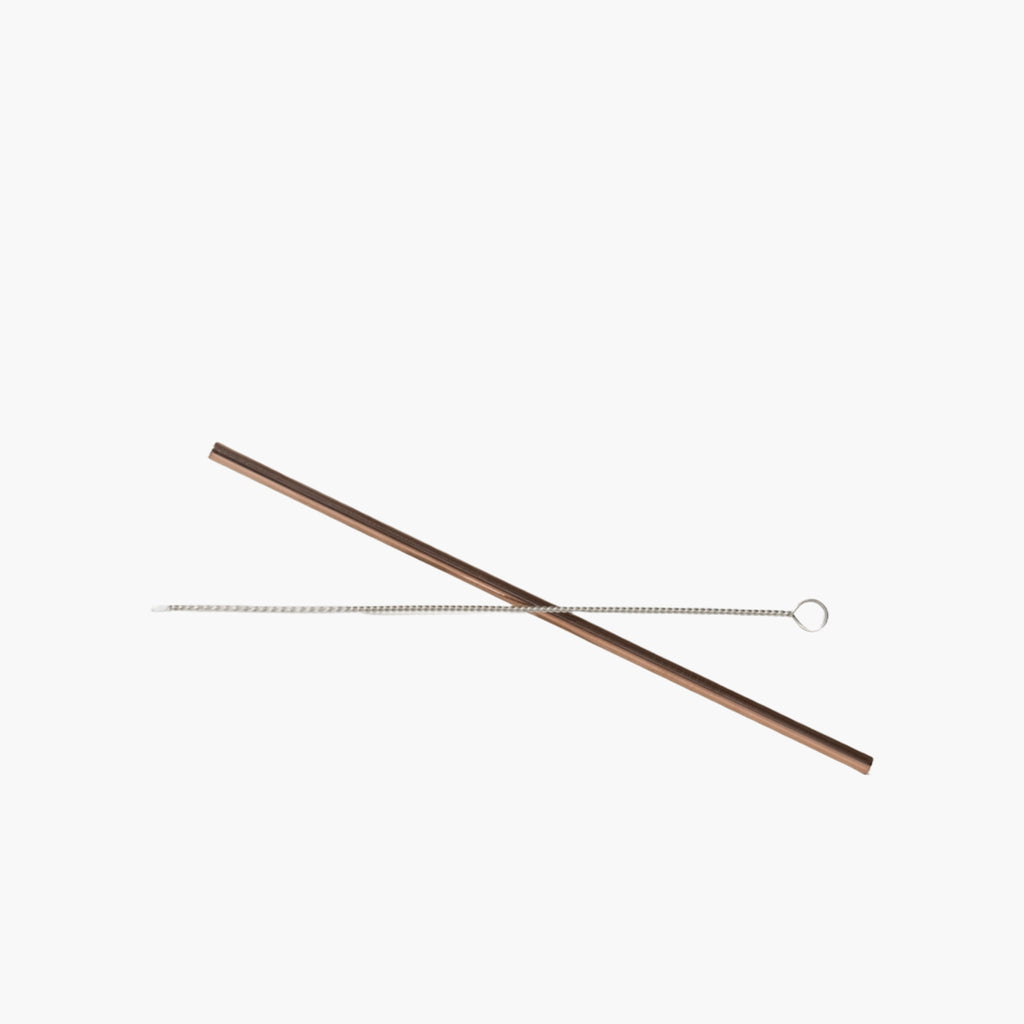 Reusable Metal Straw