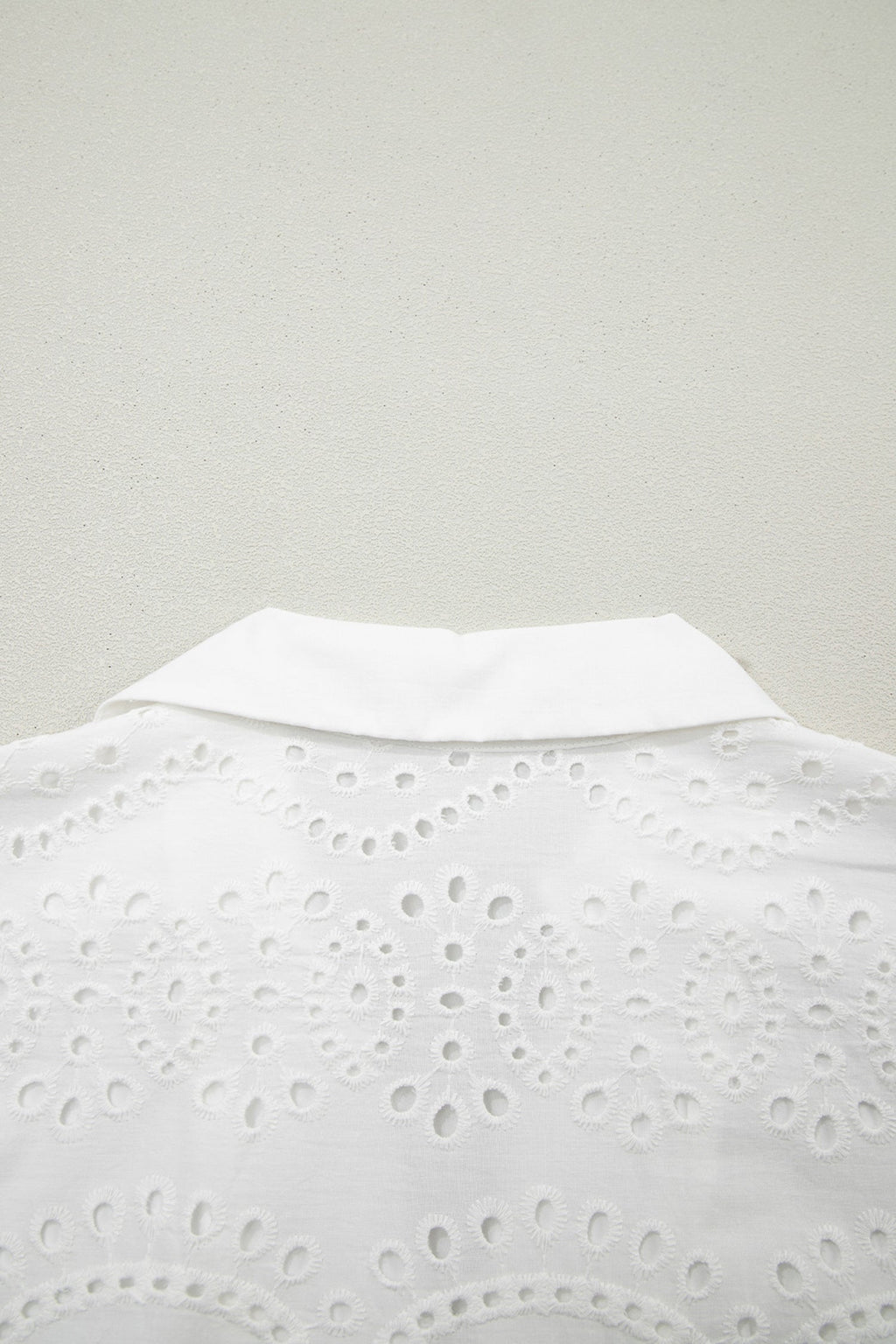 Solid Embroidered Eyelet Collared V-Neck Mini Dress