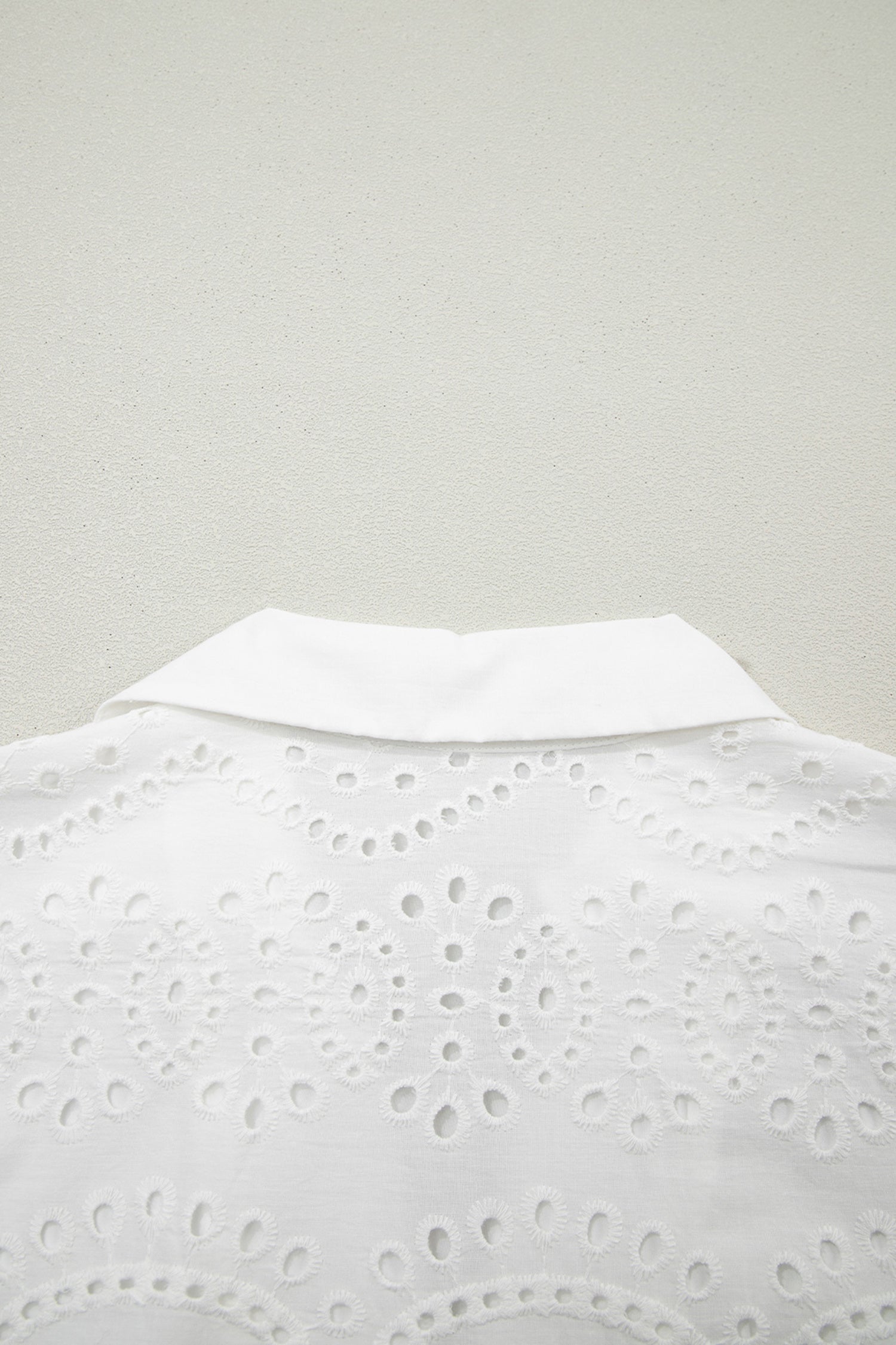 Solid Embroidered Eyelet Collared V-Neck Mini Dress