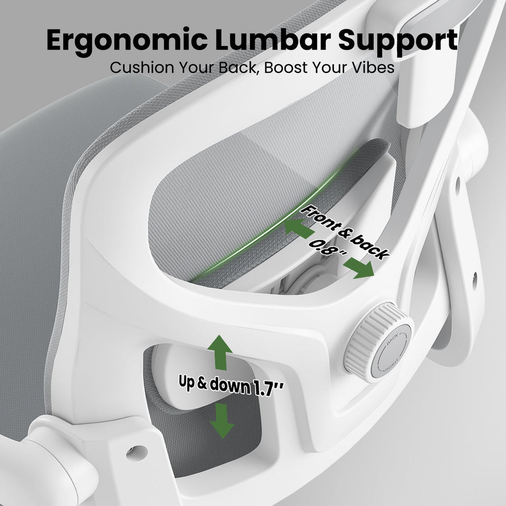 Ergonomic Office Chair, Home Office Desk Chair with Headrest, High Back Computer Chair with Armrests and Adjustable Lumbar Support for Home Office Study Room, White & Gray
