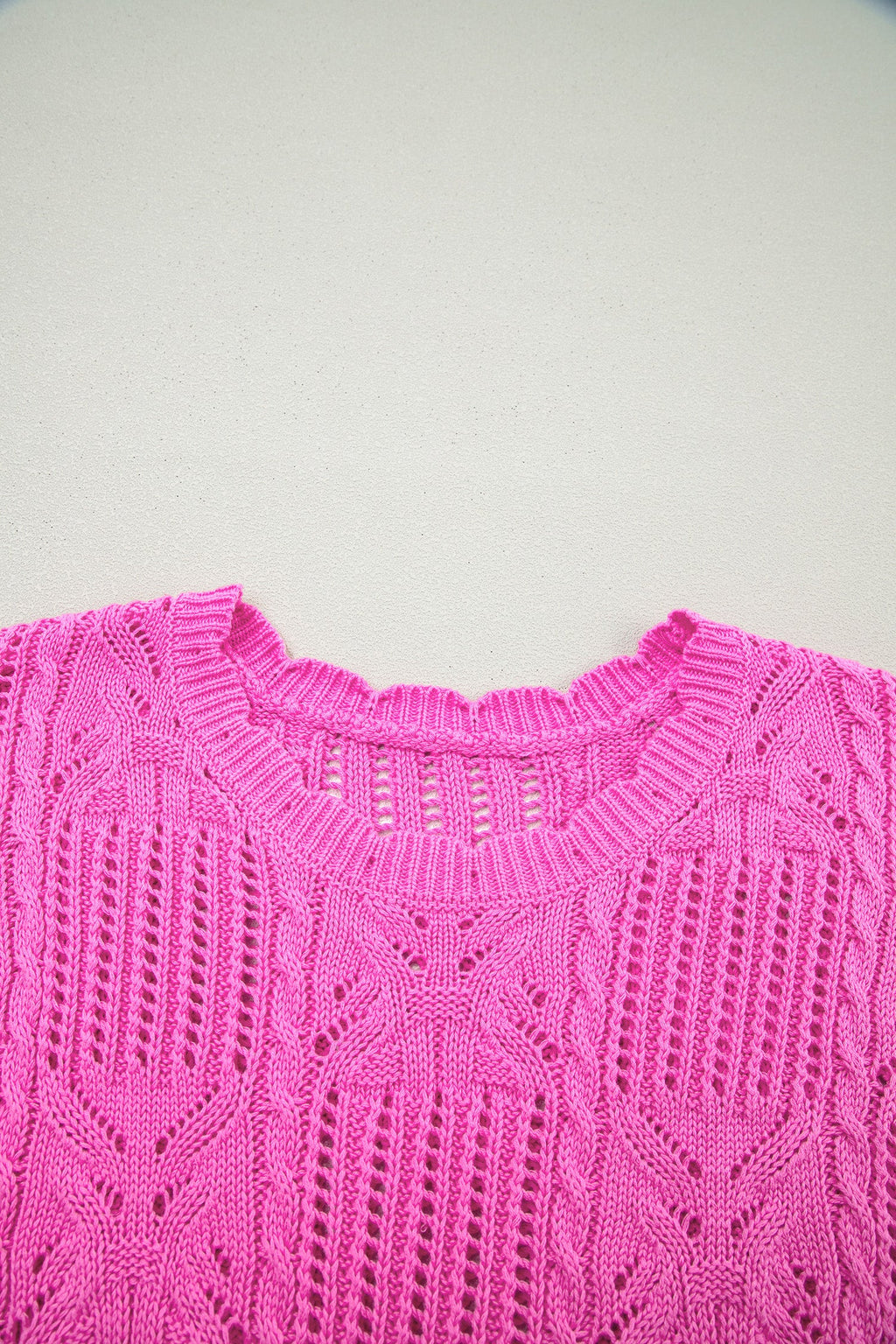 Pointelle Knit Scallop Trim Short Sleeve Sweater
