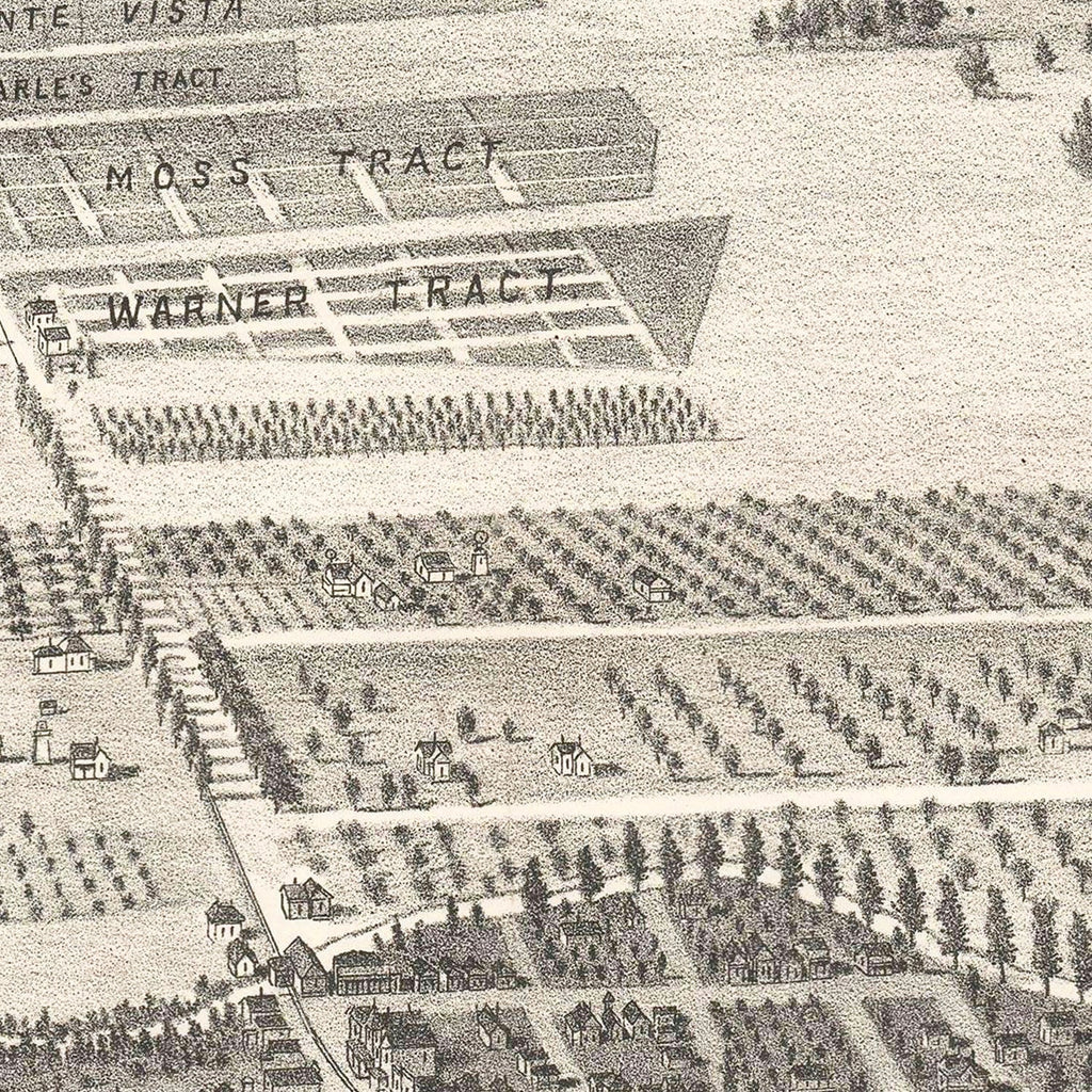 Vintage Map of San Leandro, California 1892