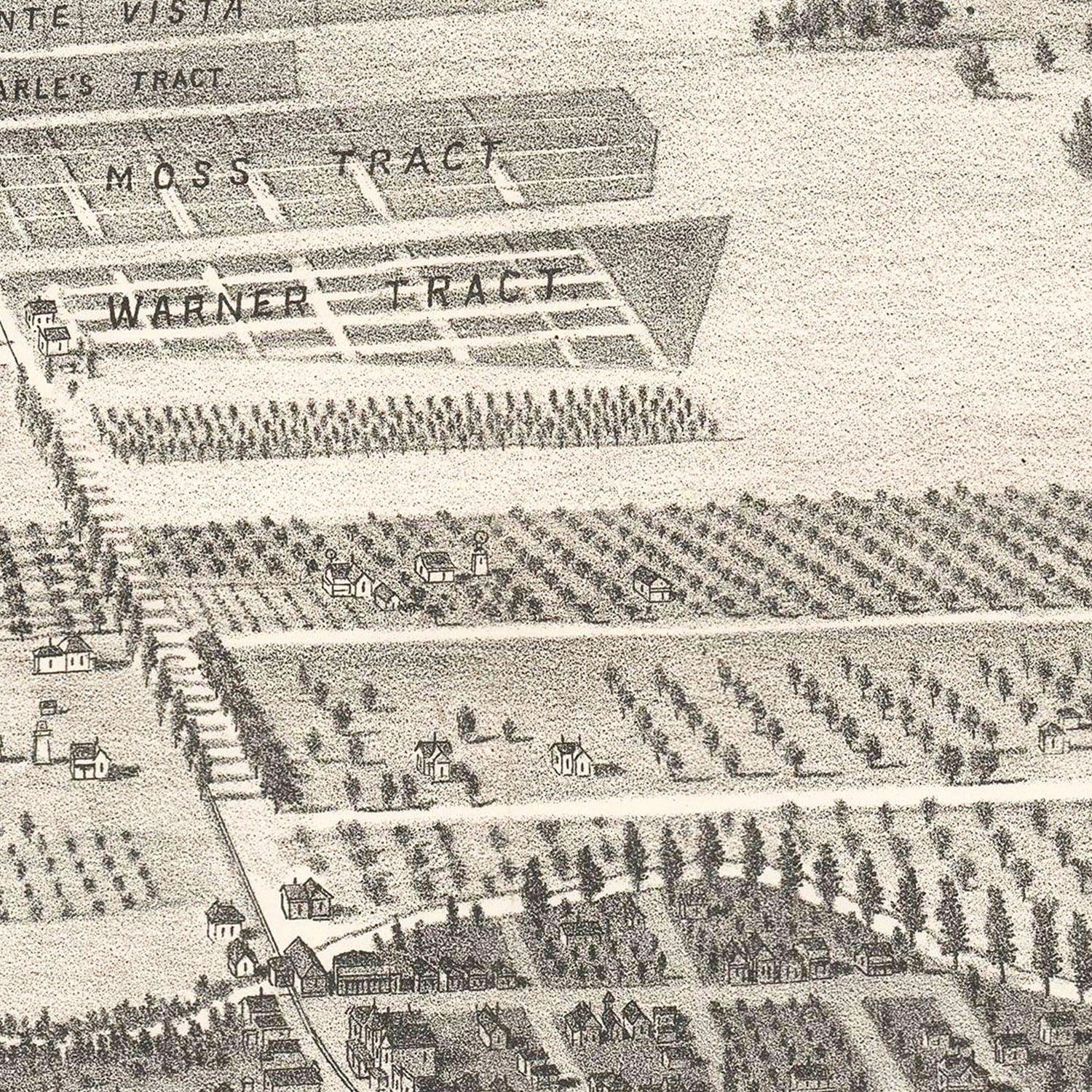 Vintage Map of San Leandro, California 1892