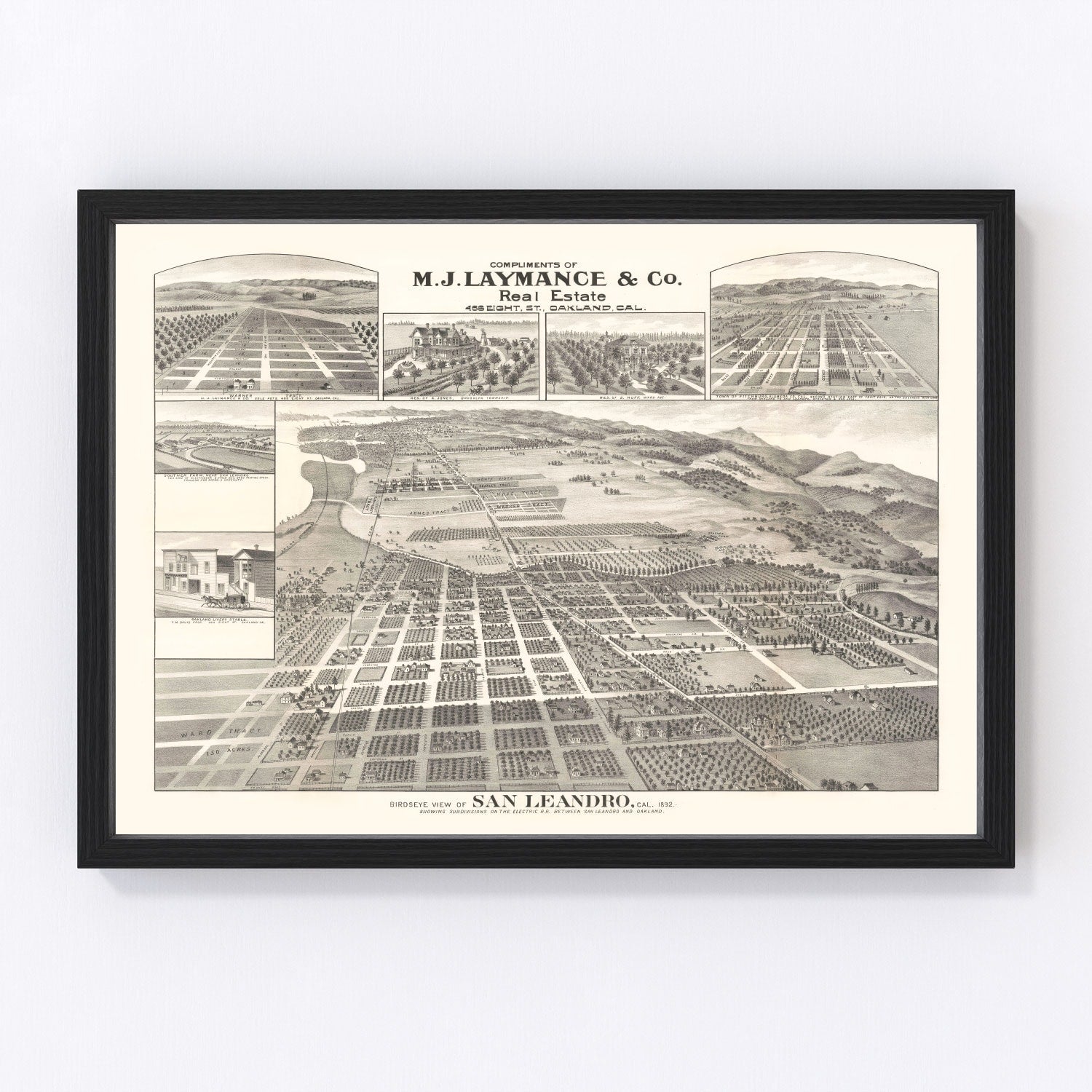 Vintage Map of San Leandro, California 1892