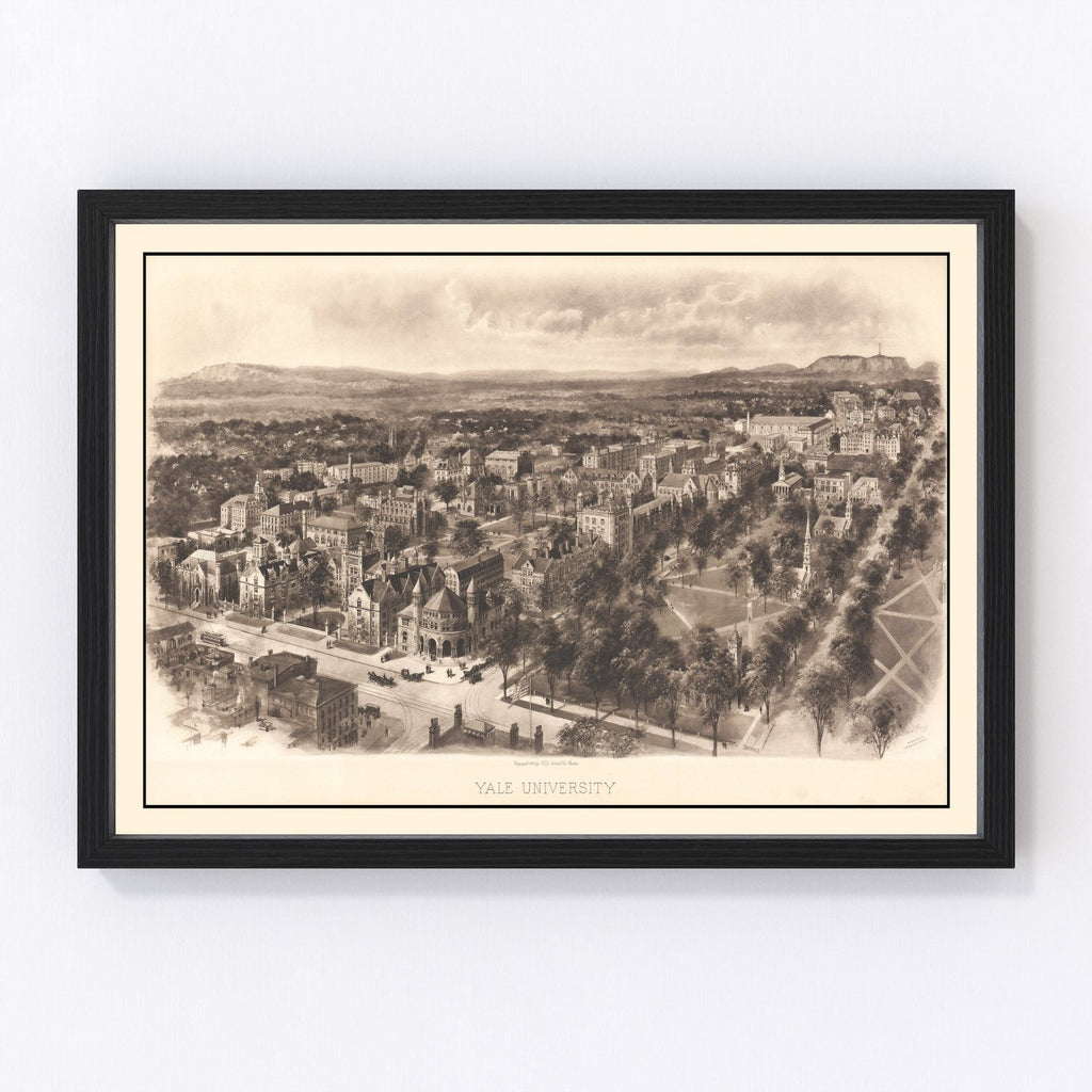 Vintage Map of Yale University, 1906