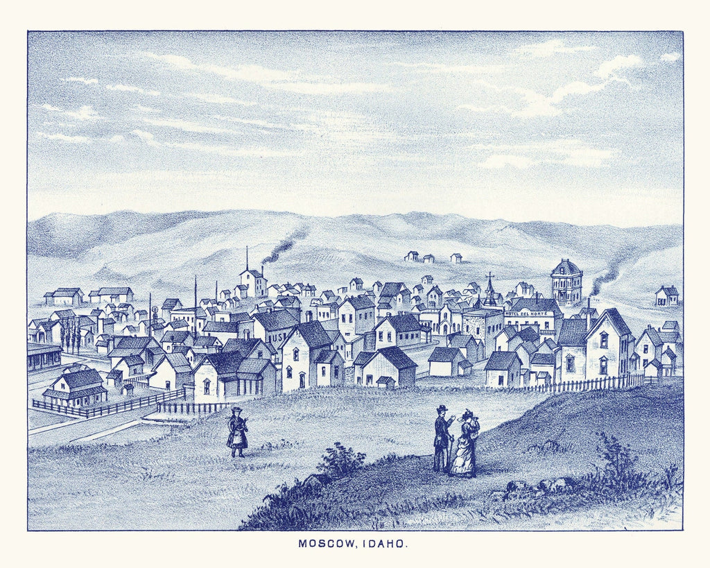 Vintage Map of Moscow, Washington 1889