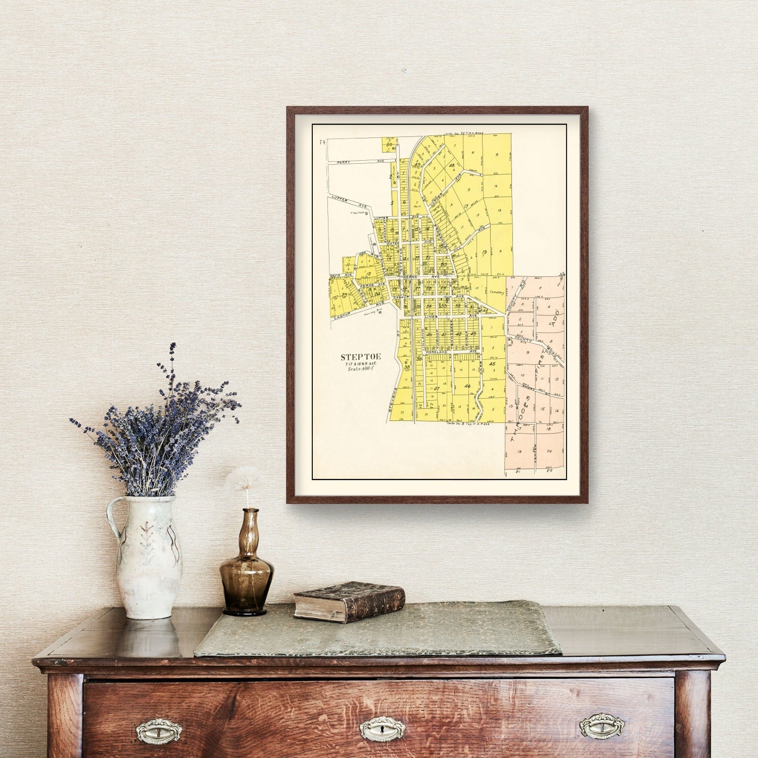 Vintage Map of Steptoe, Washington 1910