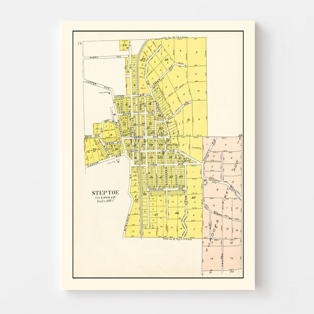 Vintage Map of Steptoe, Washington 1910