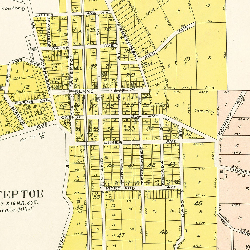 Vintage Map of Steptoe, Washington 1910