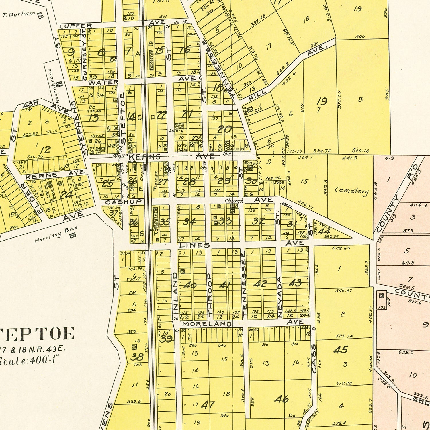 Vintage Map of Steptoe, Washington 1910