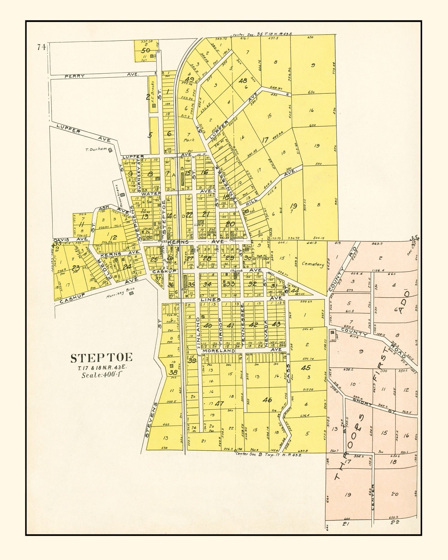 Vintage Map of Steptoe, Washington 1910