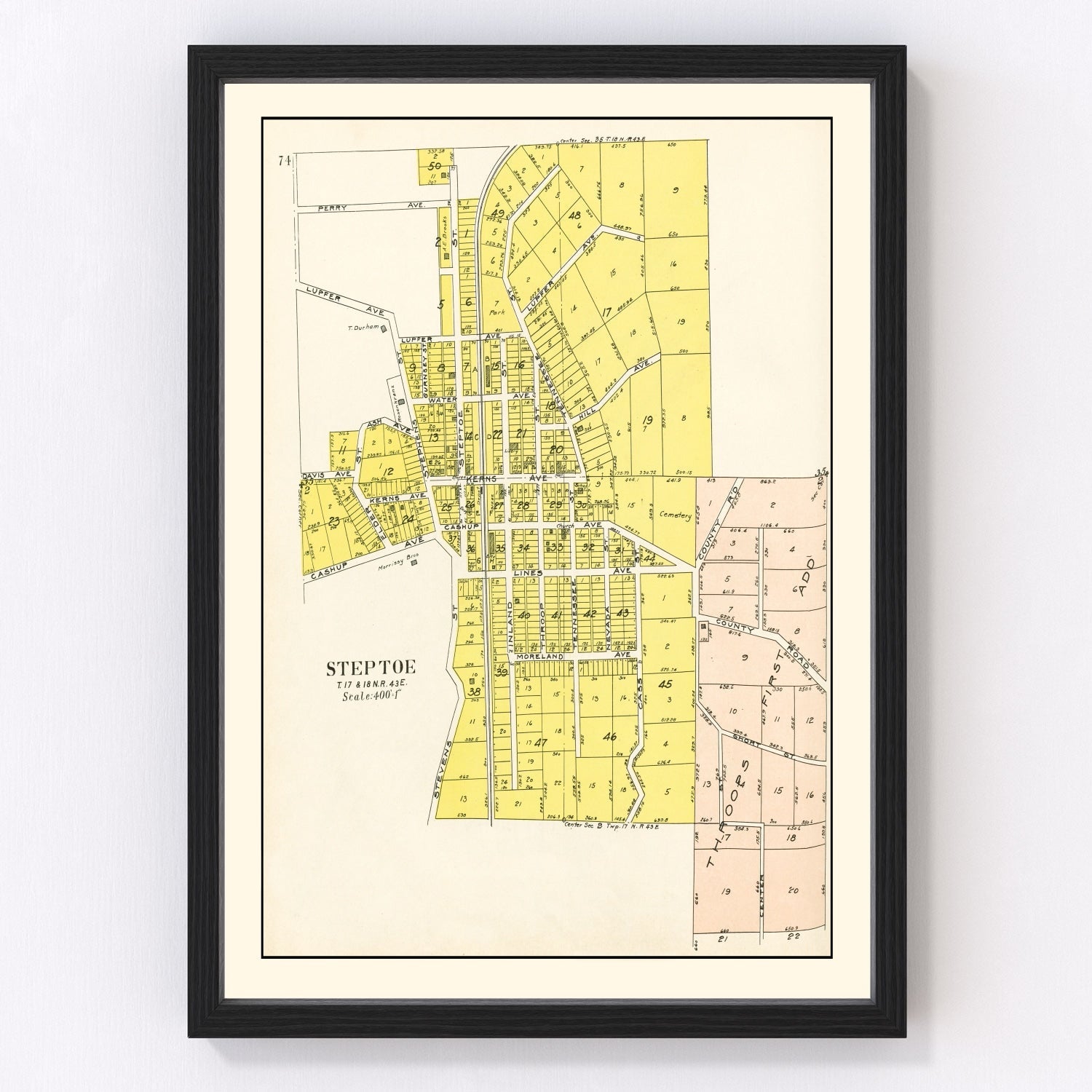 Vintage Map of Steptoe, Washington 1910