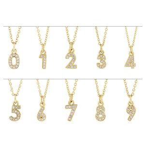 Petite Pavé® Accented Numeral Necklace