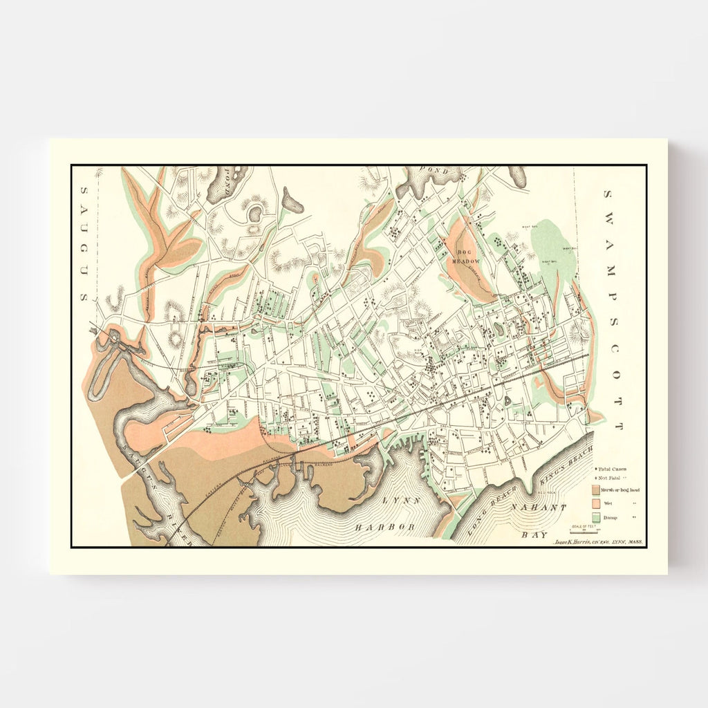 Vintage Map of Lynn, Massachusetts 1876
