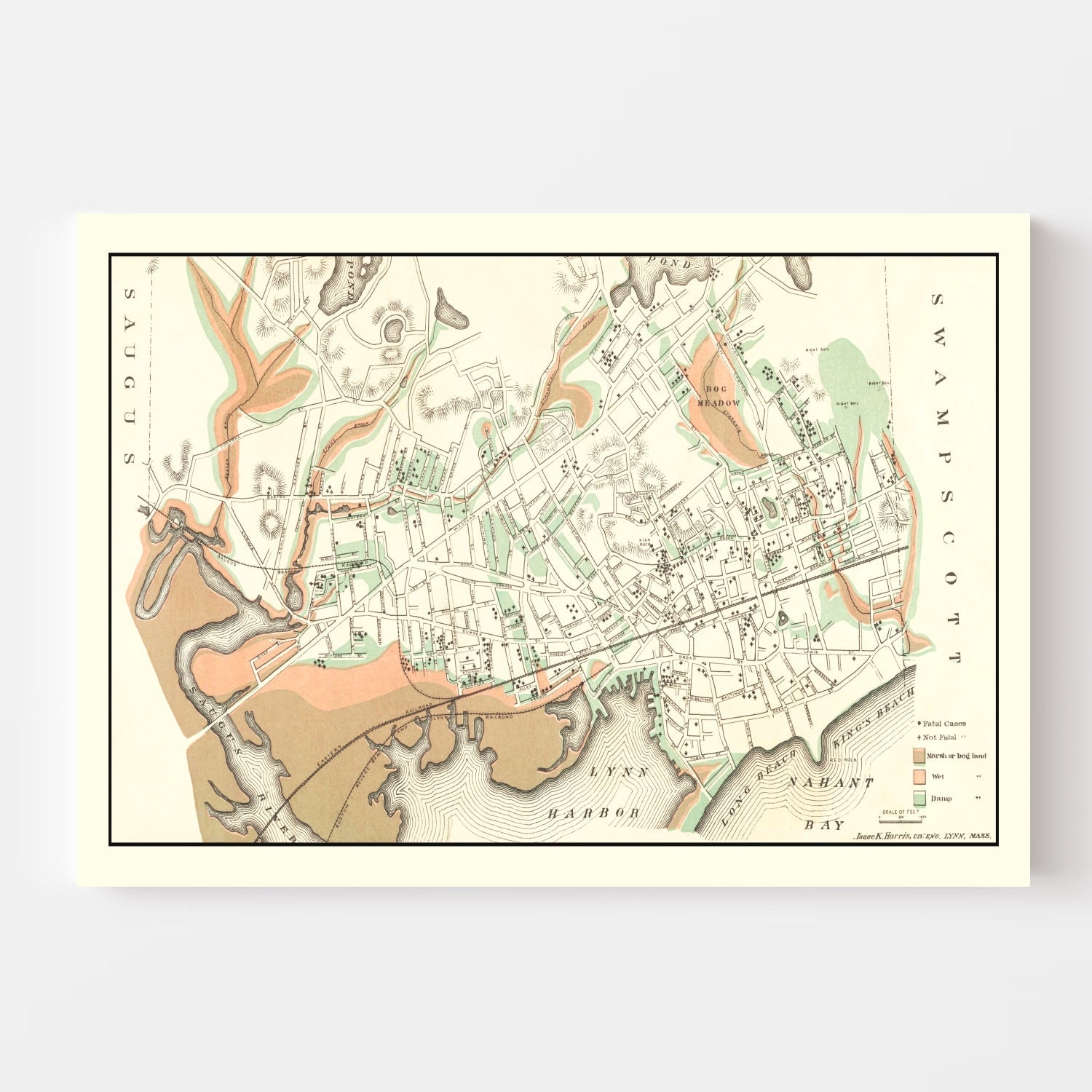 Vintage Map of Lynn, Massachusetts 1876