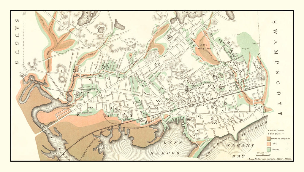 Vintage Map of Lynn, Massachusetts 1876