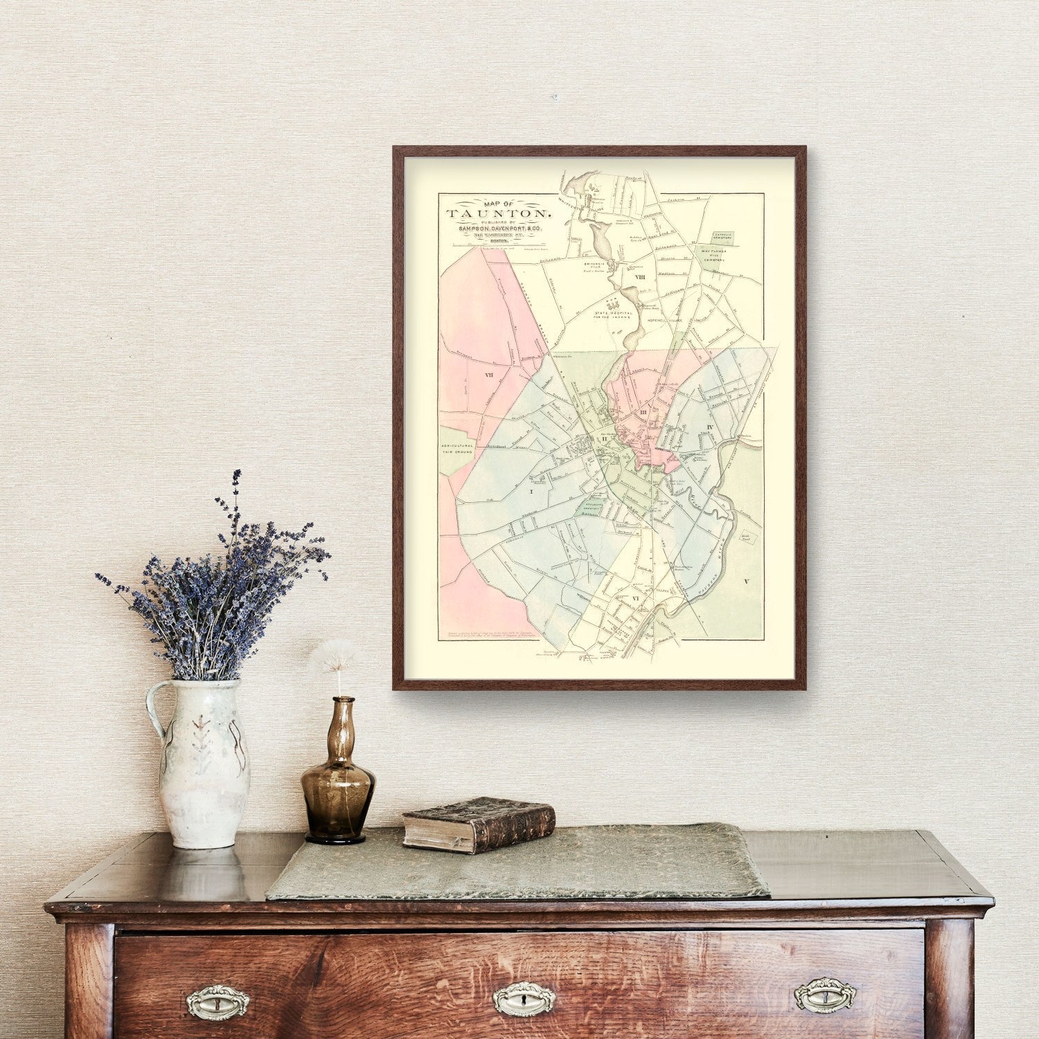 Vintage Map of Taunton, Massachusetts 1874