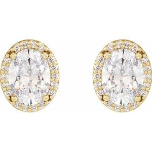 14K Yellow Gold 1/2 CTW Natural Diamond Halo-Style Earrings