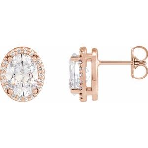 14K Rose Gold 1/2 CTW Natural Diamond Halo-Style Earrings
