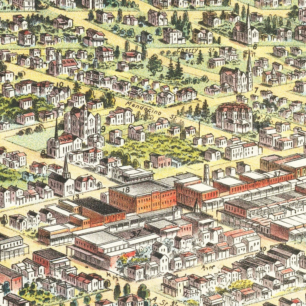 Vintage Map of Santa Rosa, California 1897