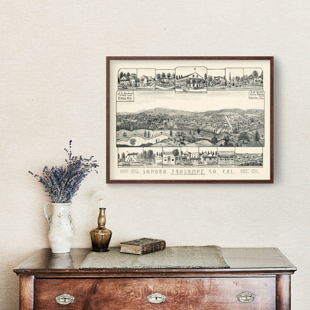 Vintage Map of Sonora, California 1880