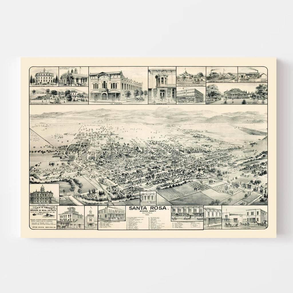 Vintage Map of Santa Rosa, California 1885