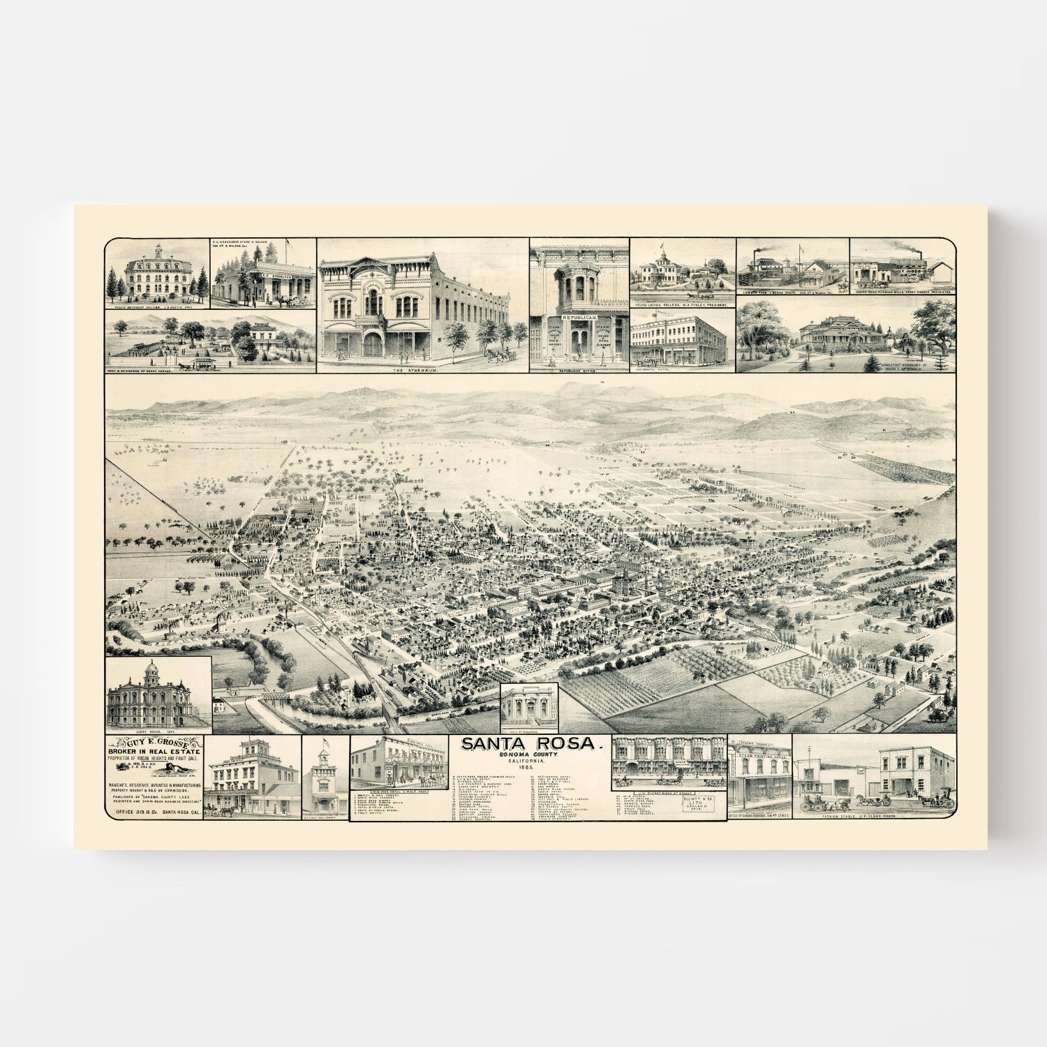 Vintage Map of Santa Rosa, California 1885