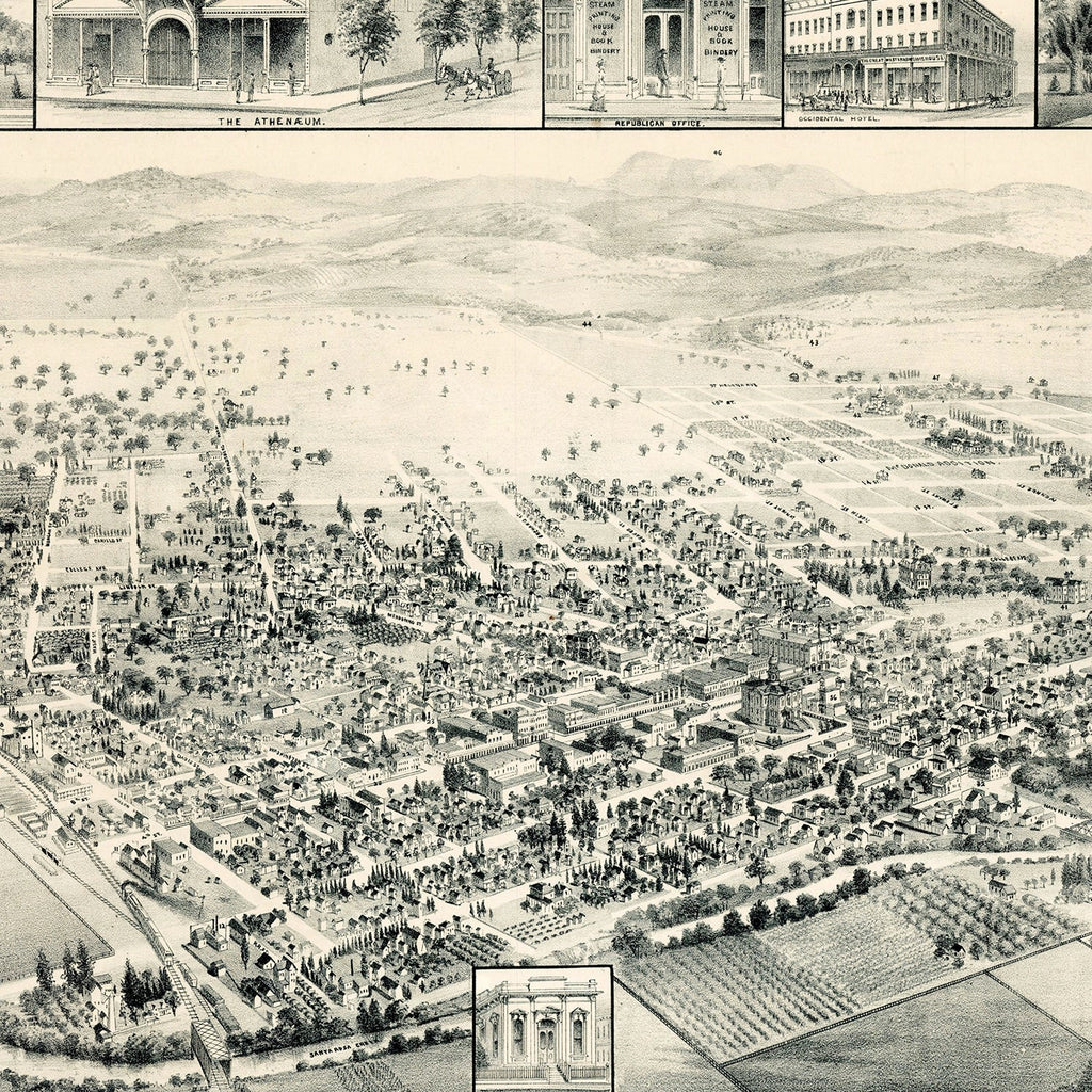 Vintage Map of Santa Rosa, California 1885