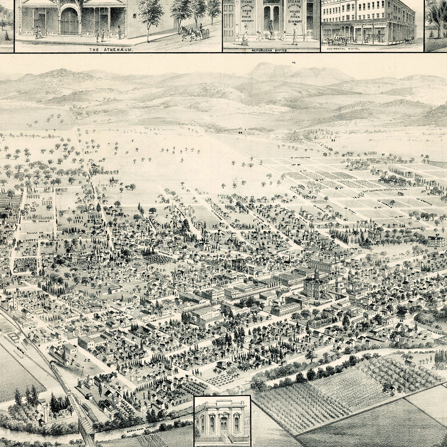 Vintage Map of Santa Rosa, California 1885
