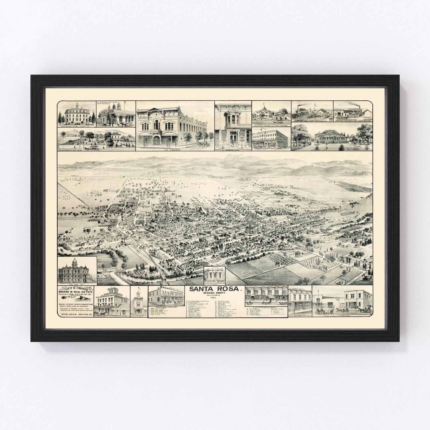 Vintage Map of Santa Rosa, California 1885