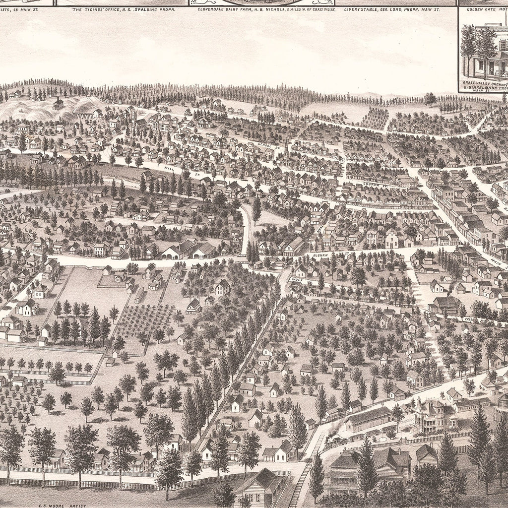 Vintage Map of Grass Valley, California 1889