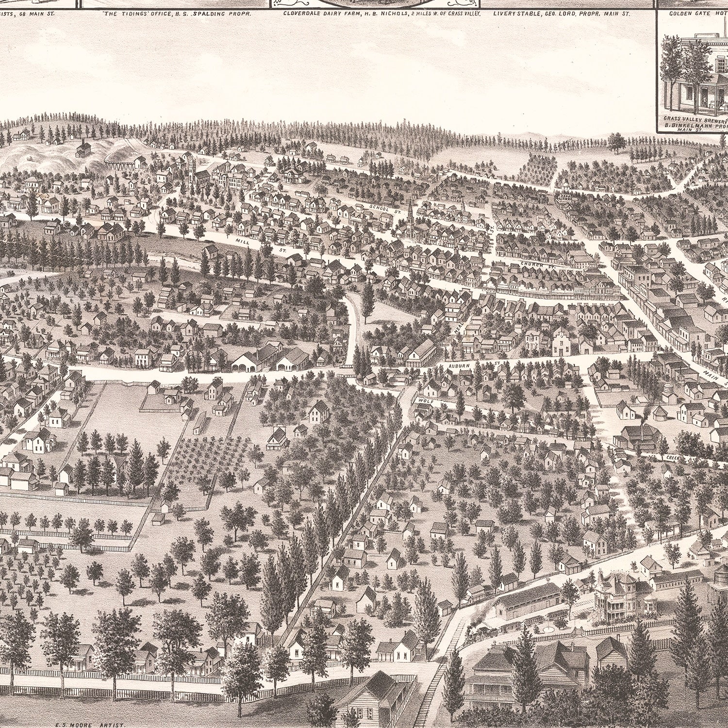 Vintage Map of Grass Valley, California 1889