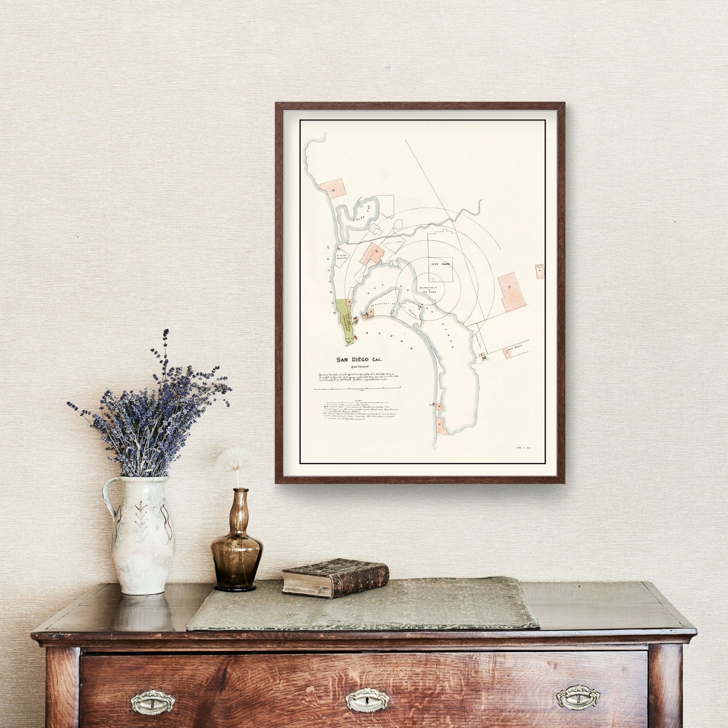 Vintage Map of San Diego, California 1891