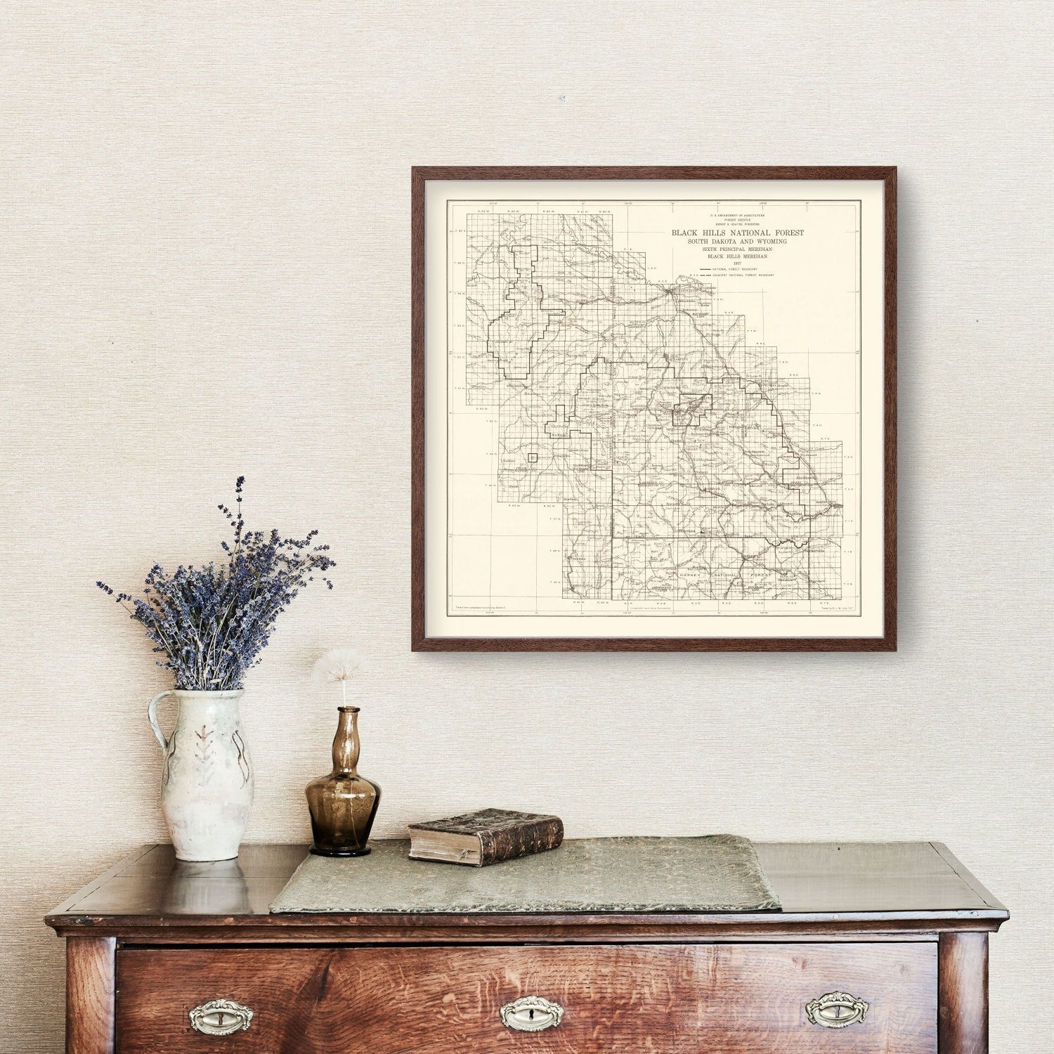 Vintage Black Hills National Forest Map 1917