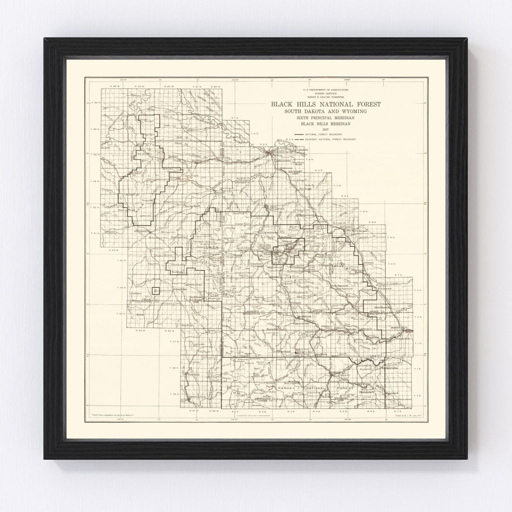 Vintage Black Hills National Forest Map 1917