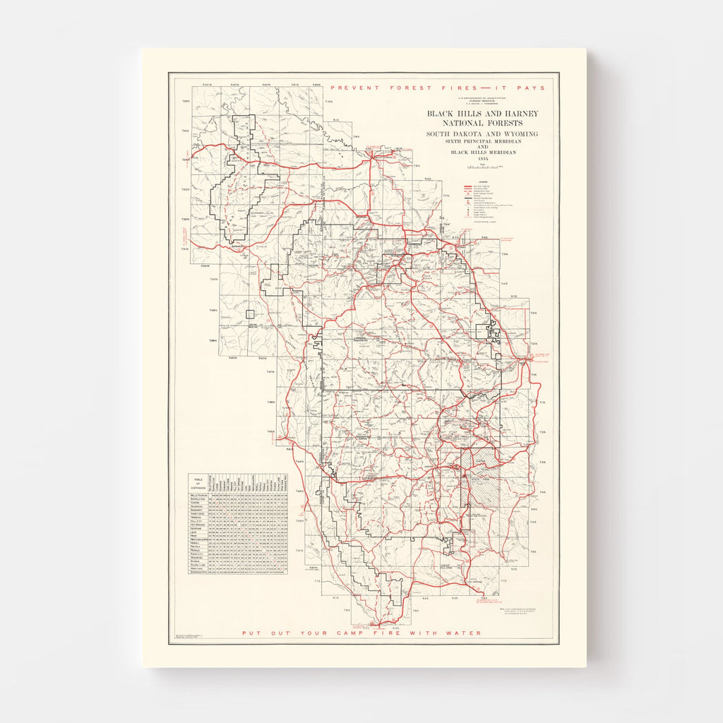 Vintage Black Hills & Harney National Forest Map 1934