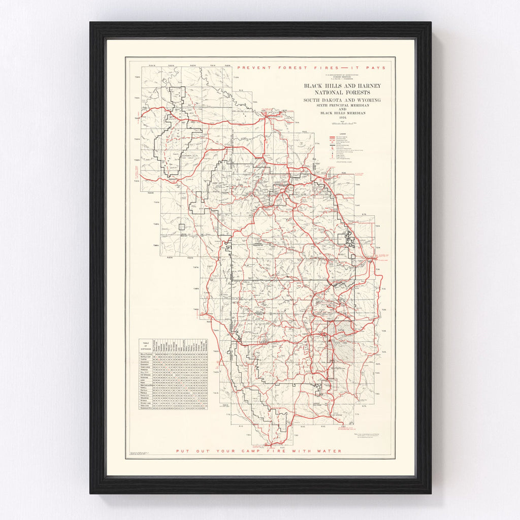 Vintage Black Hills & Harney National Forest Map 1934
