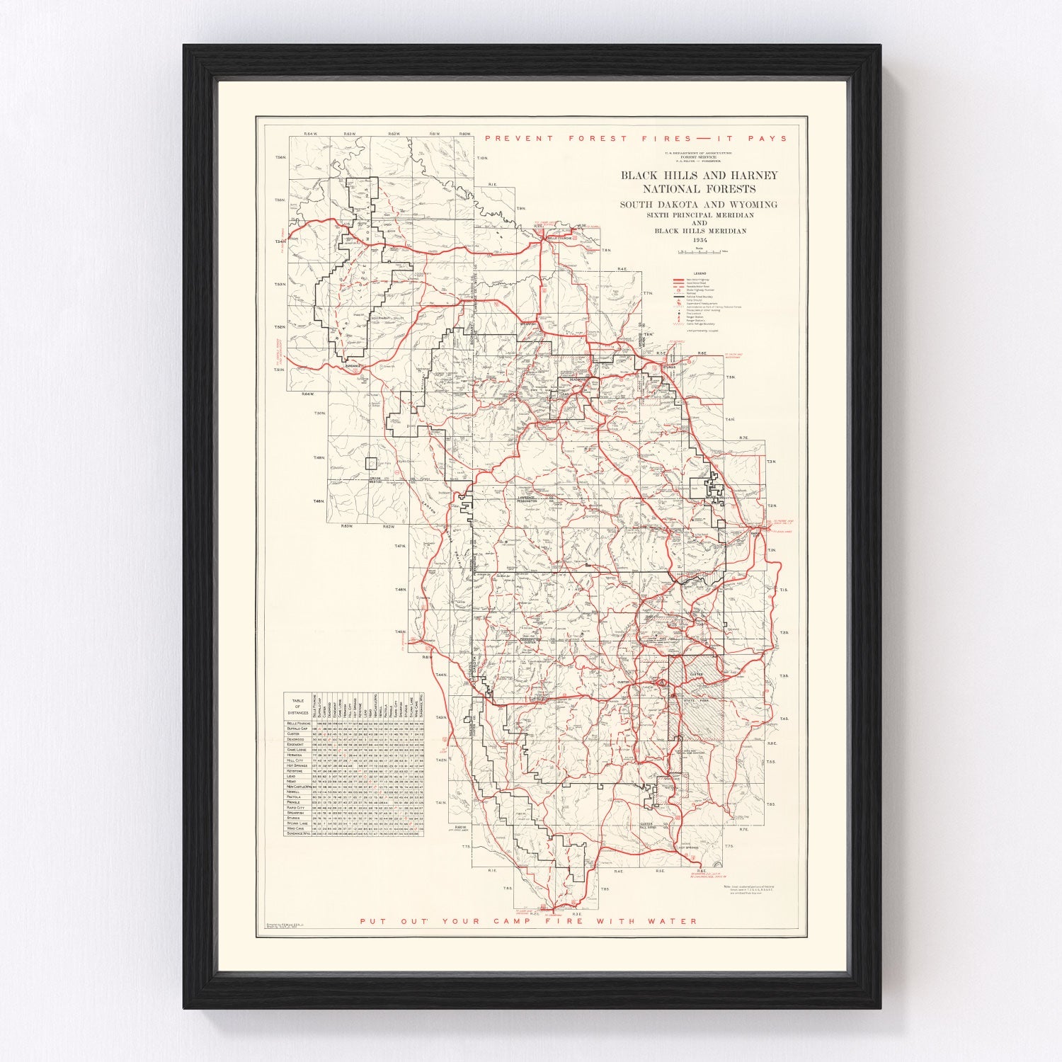 Vintage Black Hills & Harney National Forest Map 1934