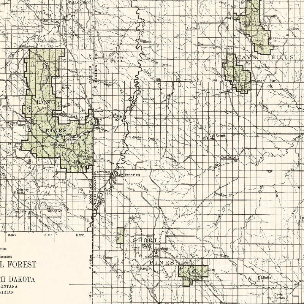 Vintage Custer National Forest Map 1938