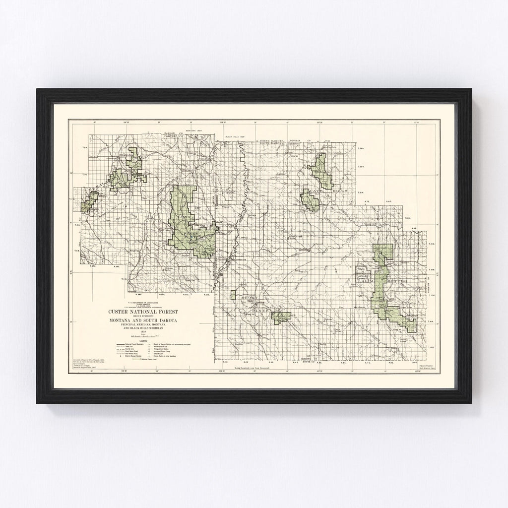 Vintage Custer National Forest Map 1938