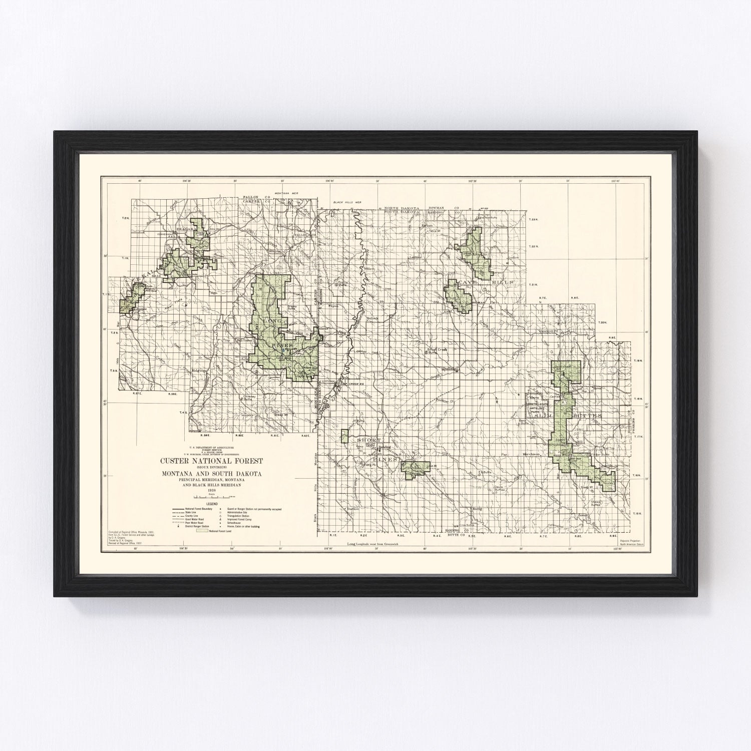Vintage Custer National Forest Map 1938
