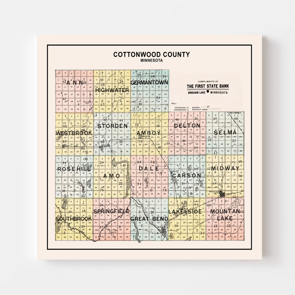 Vintage Map of Cottonwood County, Minnesota 1907