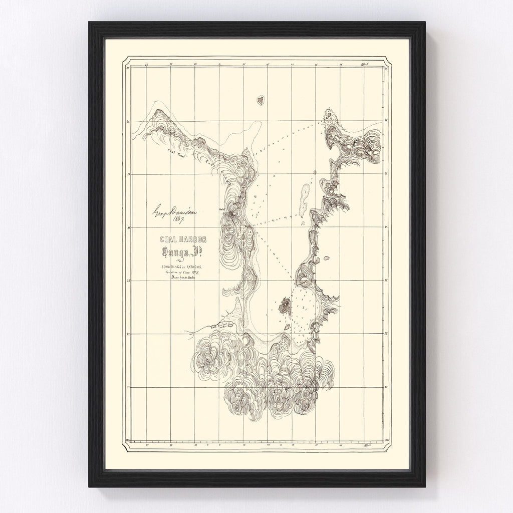 Vintage Coal Harbor Map 1867
