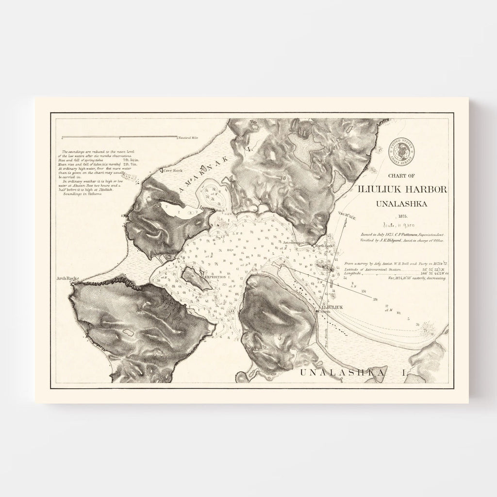 Vintage Iliuliuk Harbor, Unalashka Map 1875