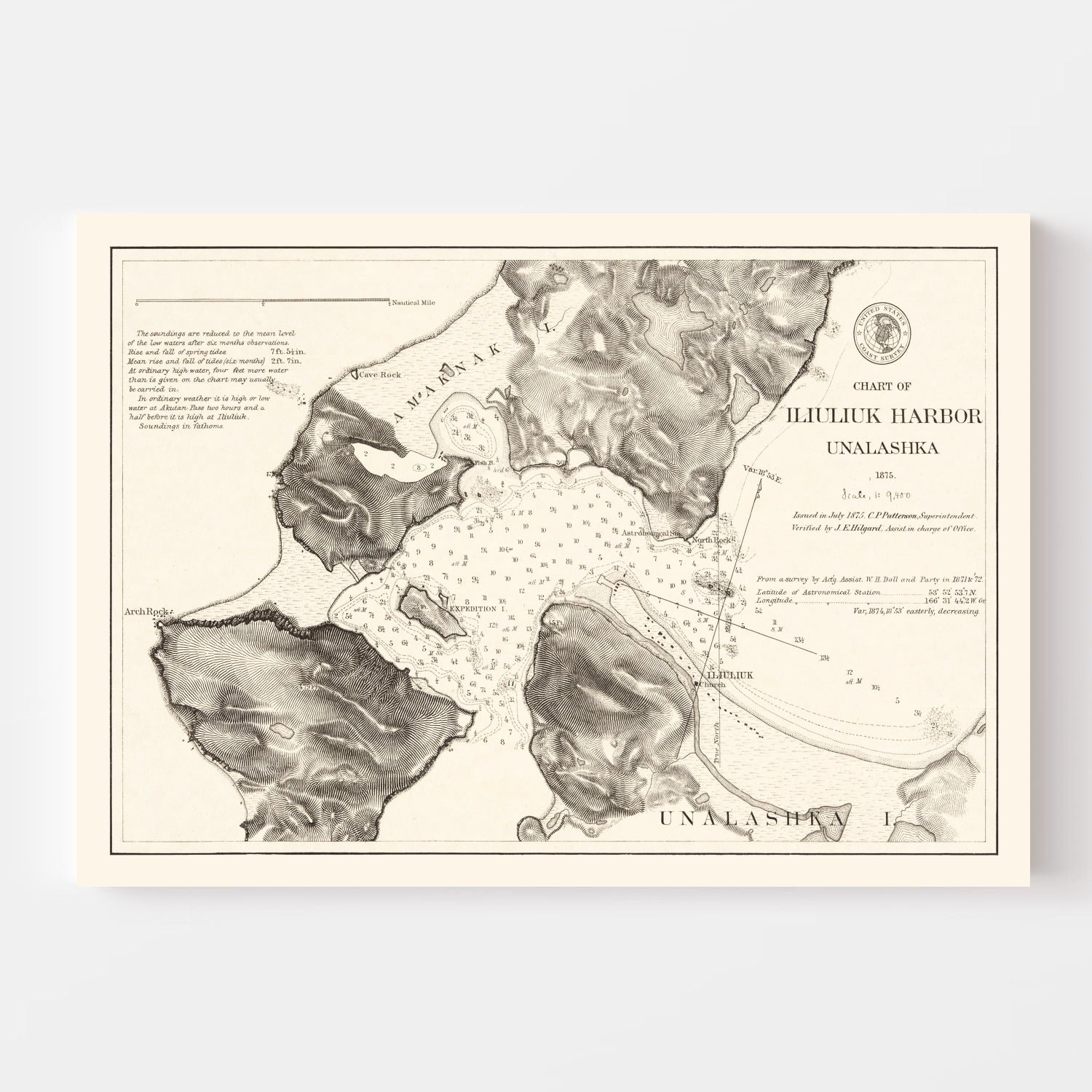 Vintage Iliuliuk Harbor, Unalashka Map 1875