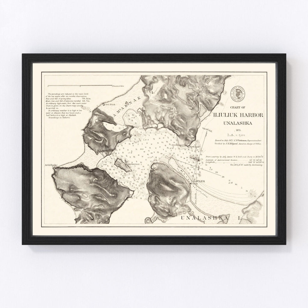 Vintage Iliuliuk Harbor, Unalashka Map 1875