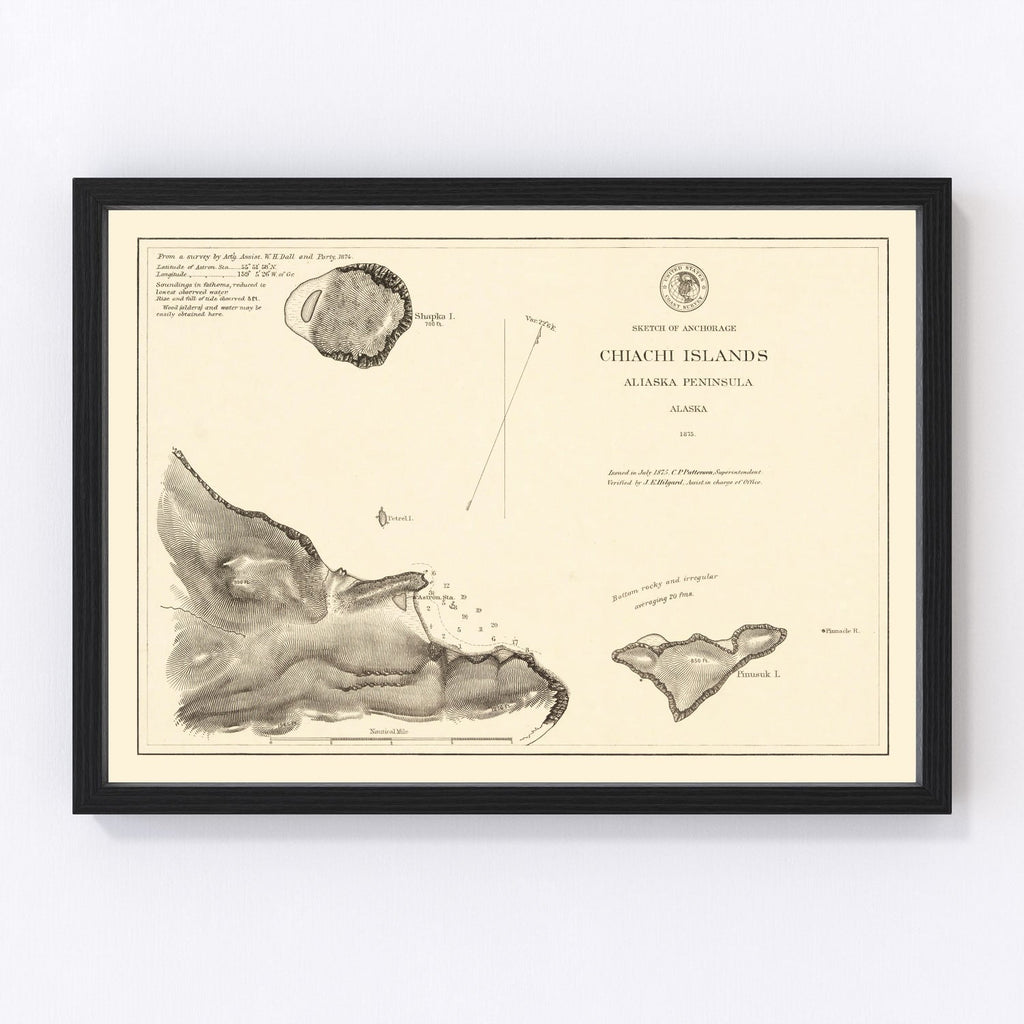 Vintage Anchorage, AK Map 1875