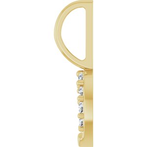 Accented Horseshoe Charm/Pendant