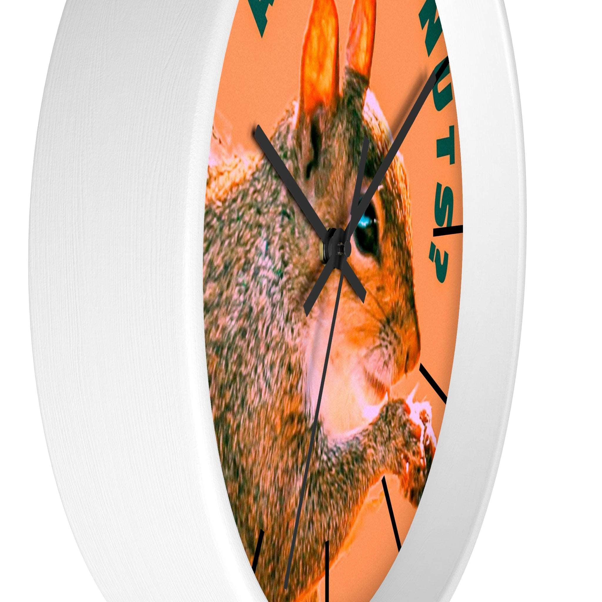 Are You Nuts? Squirrel Wall Clock